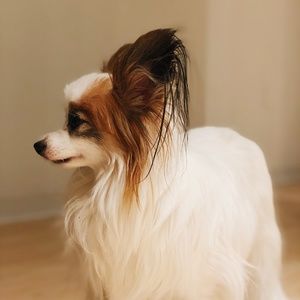 Meet your Posher, Em.